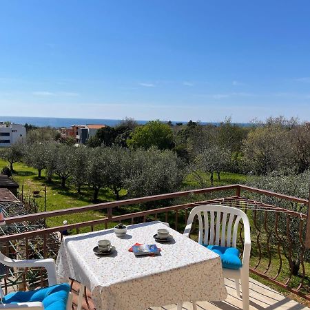 Apartments Konceta Poreč Zewnętrze zdjęcie
