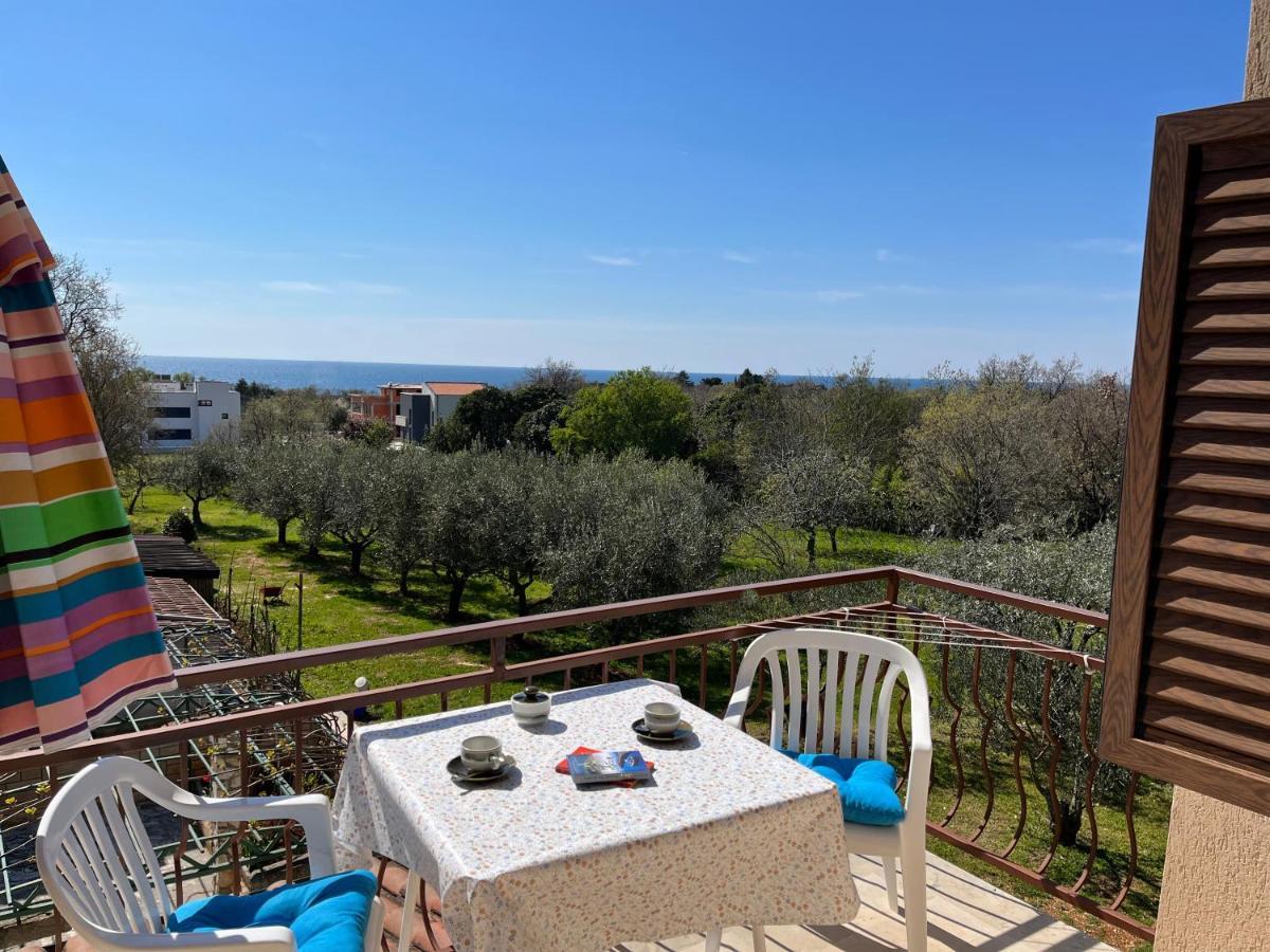 Apartments Konceta Poreč Zewnętrze zdjęcie